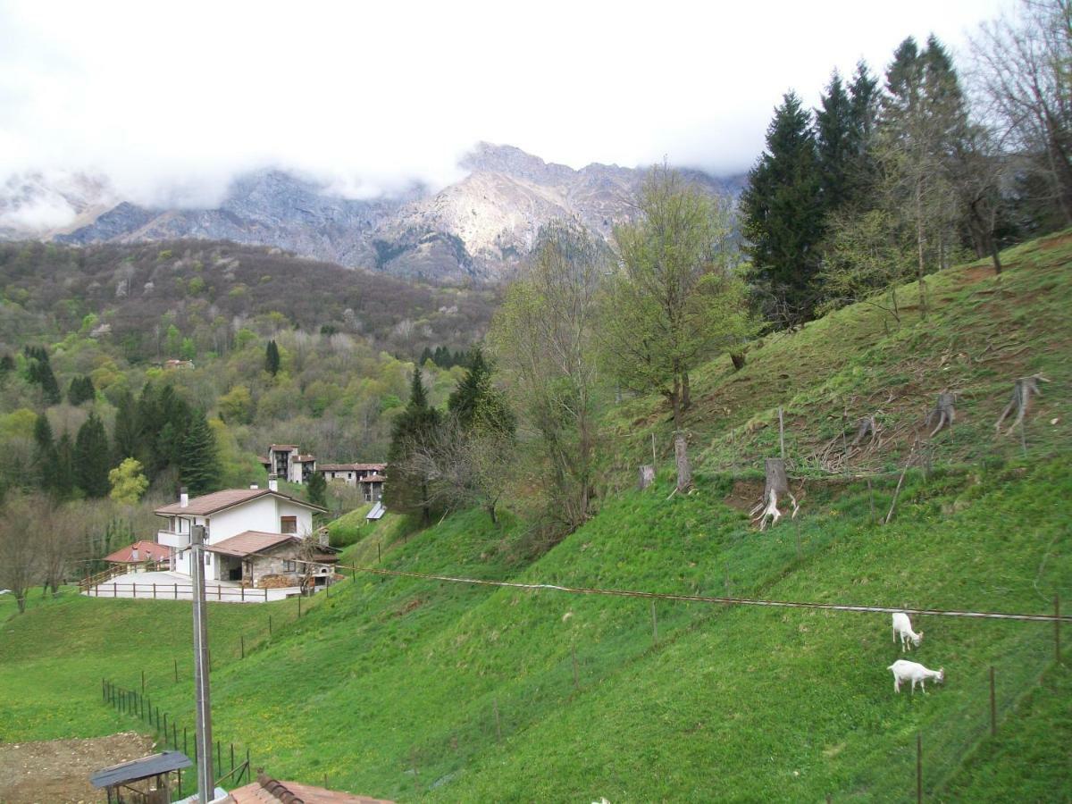 B&B In Fattoria Frisanco Exteriér fotografie