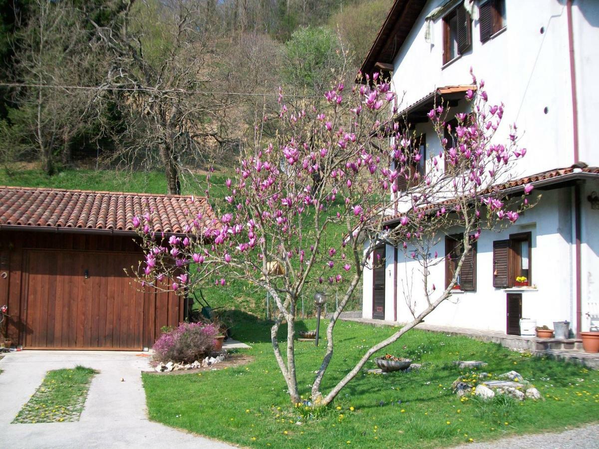 B&B In Fattoria Frisanco Exteriér fotografie