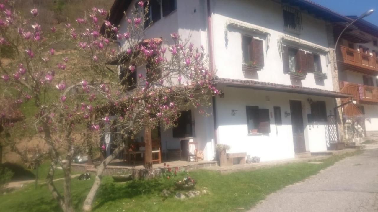 B&B In Fattoria Frisanco Exteriér fotografie