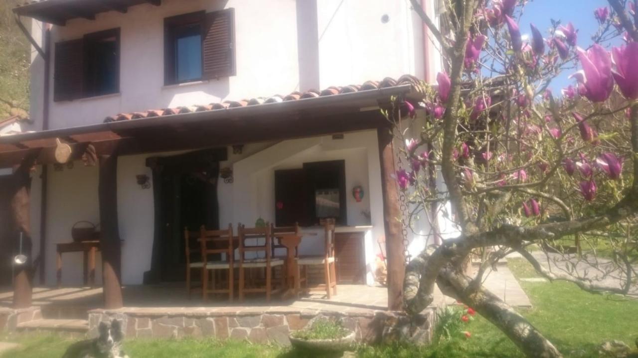 B&B In Fattoria Frisanco Exteriér fotografie