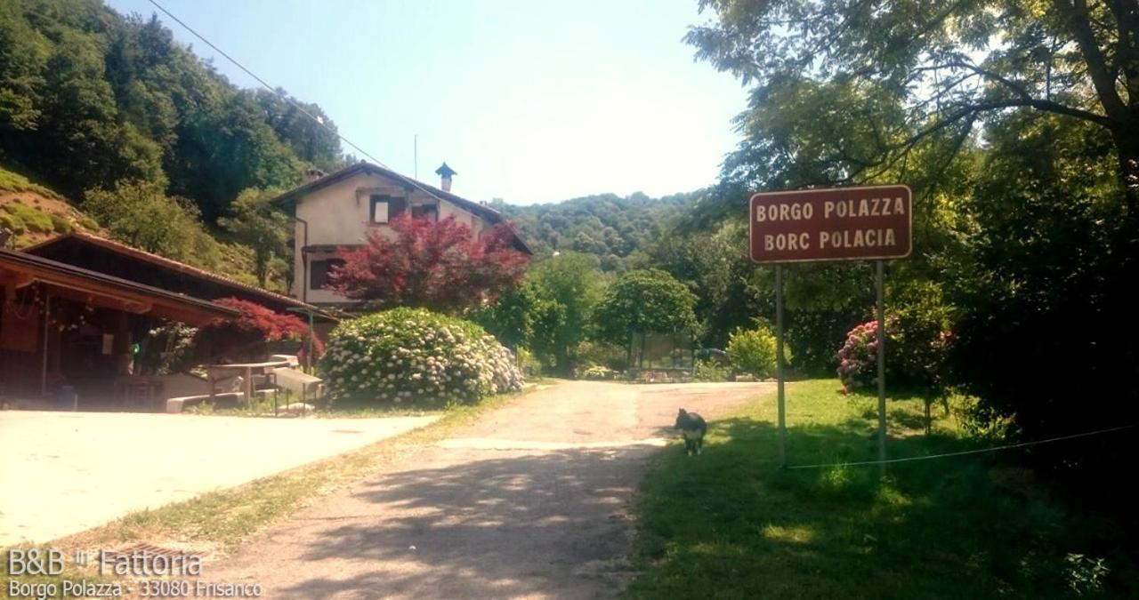 B&B In Fattoria Frisanco Exteriér fotografie